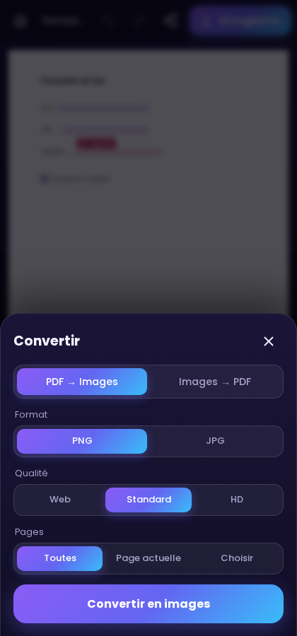 Écran de conversion : PDF vers images PNG ou JPG, qualité et pages au choix